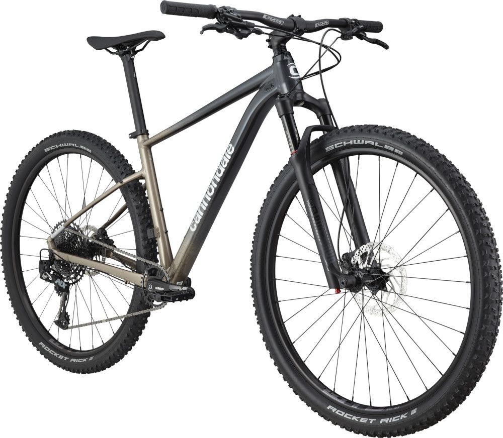 Cannondale Trail SL 1 Meteor Gray