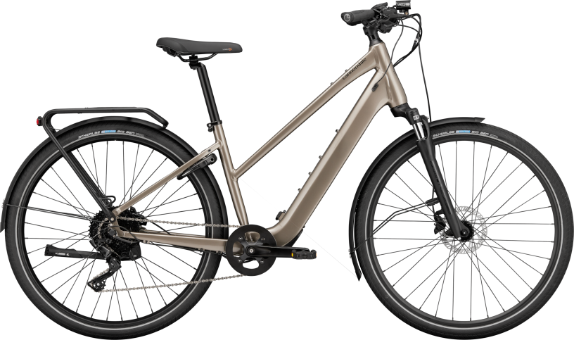Cannondale Mavaro Neo SL 1 StepThru Meteor Gray
